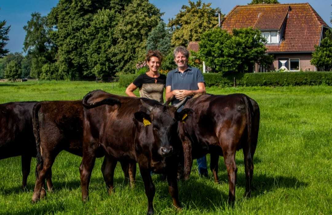 Grasgevoerd Wagyu vlees