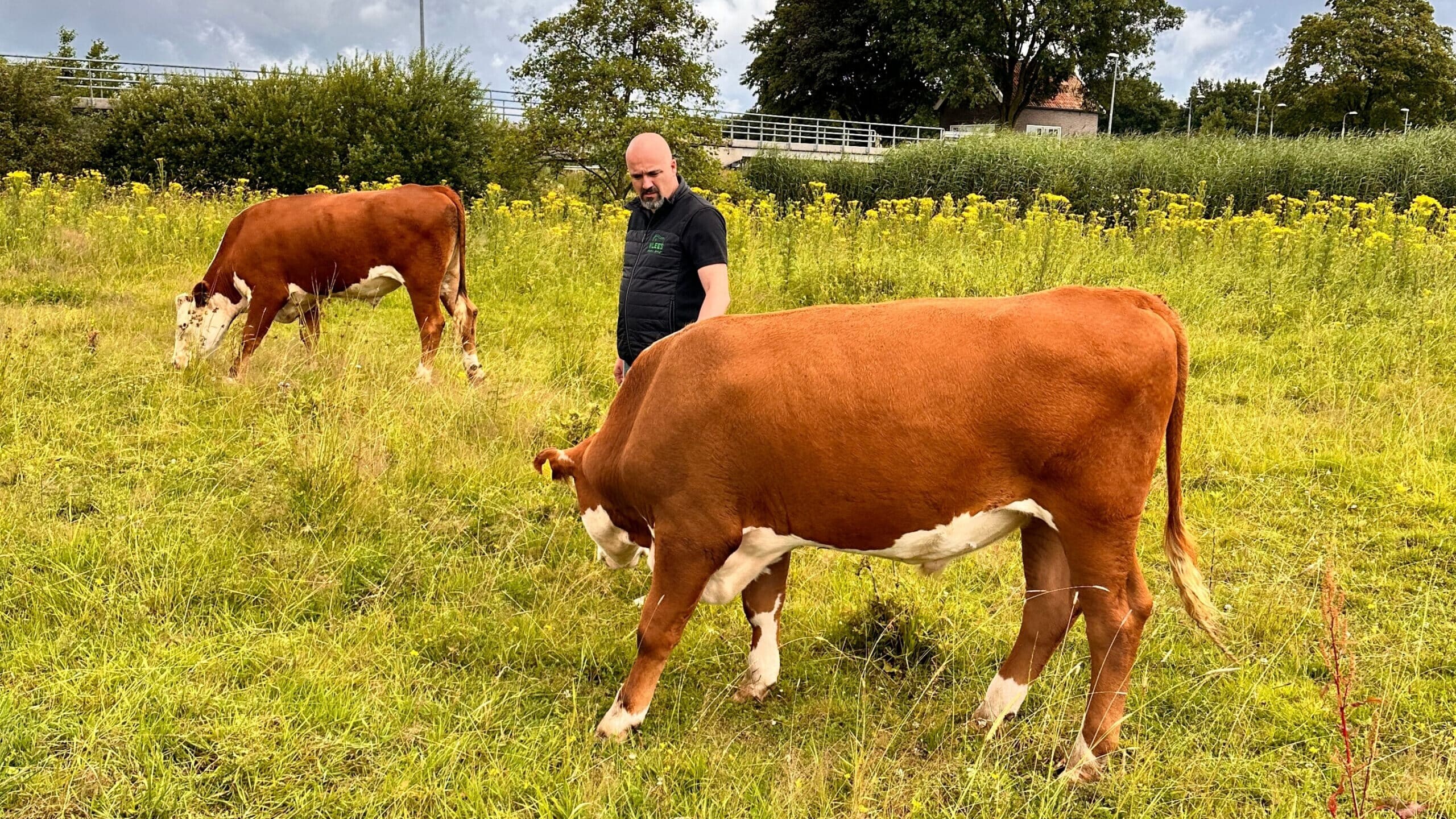 Natuur beheer
