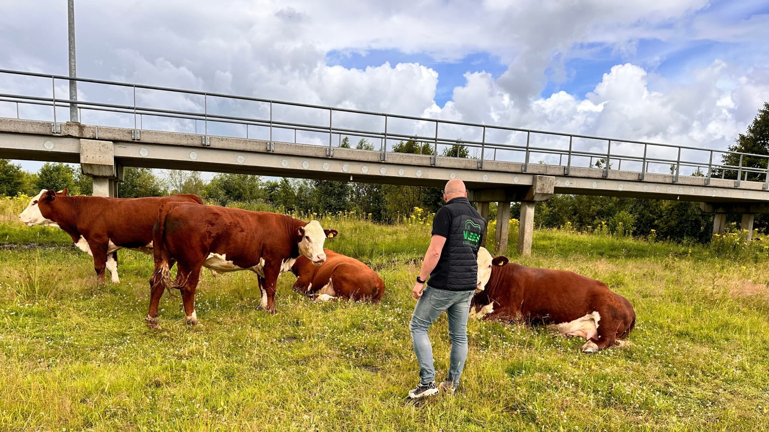 Essentiële voedingsstoffen die moeilijk te verkrijgen zijn uit planten